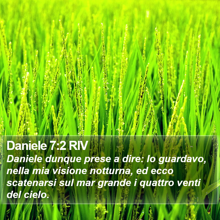 Daniele 7:2 RIV Bible Study