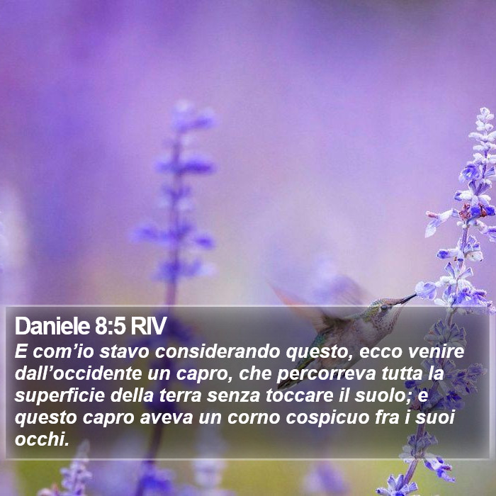 Daniele 8:5 RIV Bible Study