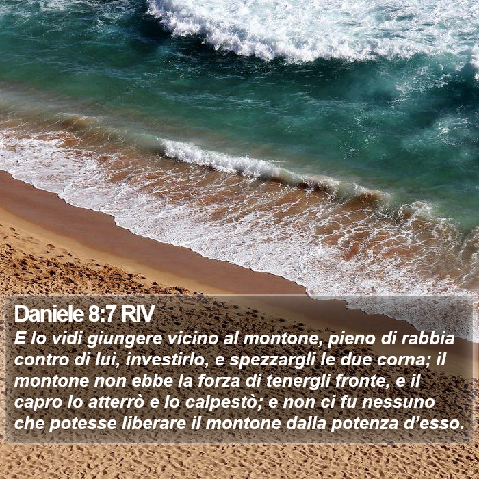 Daniele 8:7 RIV Bible Study