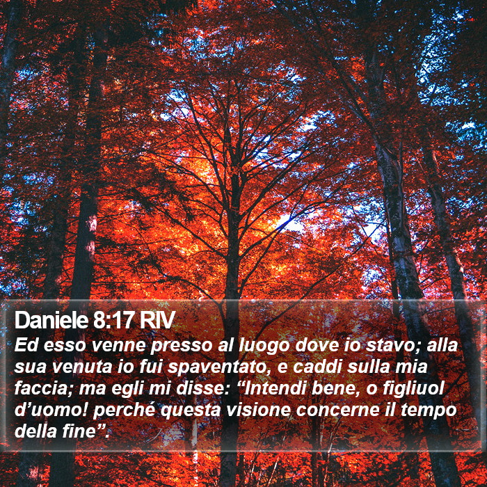 Daniele 8:17 RIV Bible Study