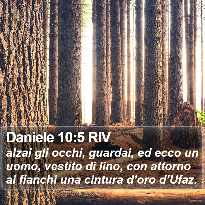 Daniele 10:5 RIV Bible Study