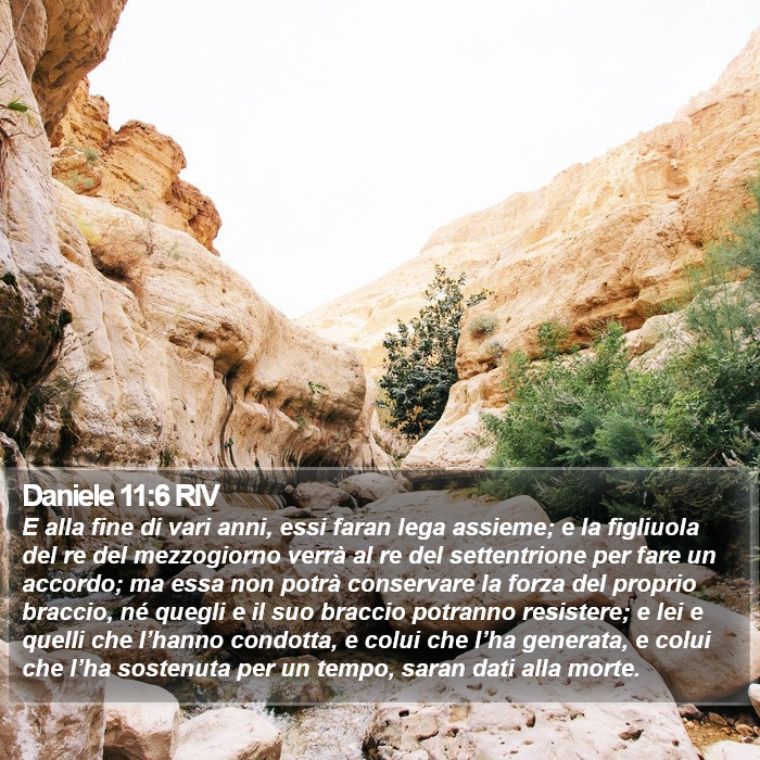 Daniele 11:6 RIV Bible Study