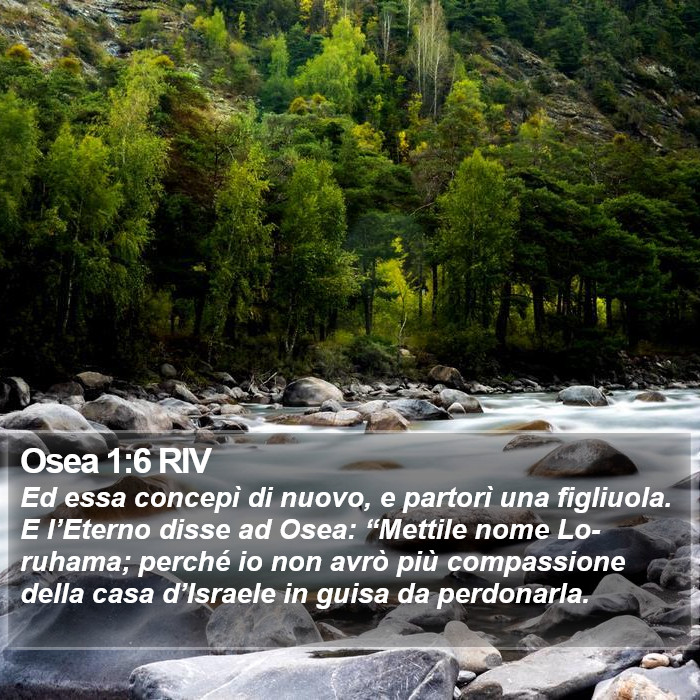 Osea 1:6 RIV Bible Study