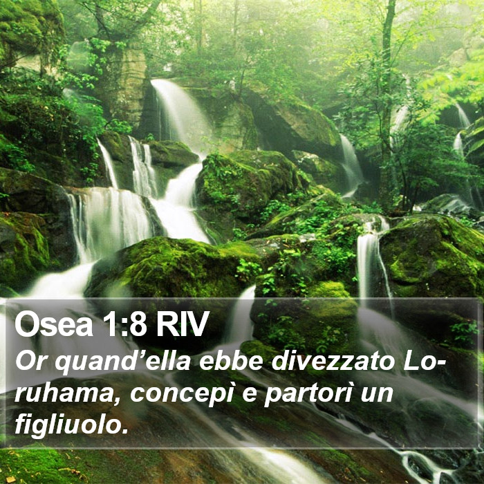 Osea 1:8 RIV Bible Study