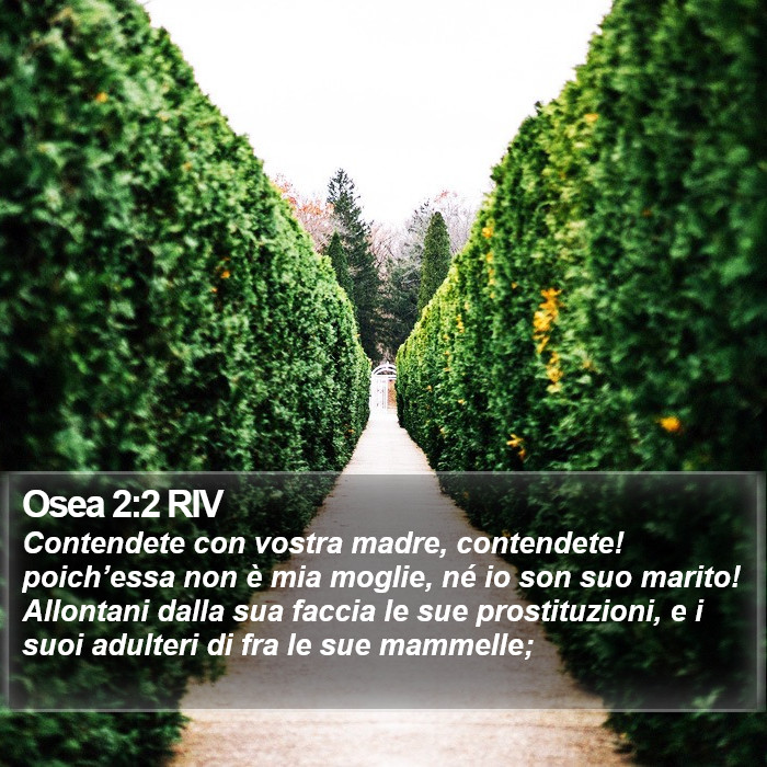 Osea 2:2 RIV Bible Study