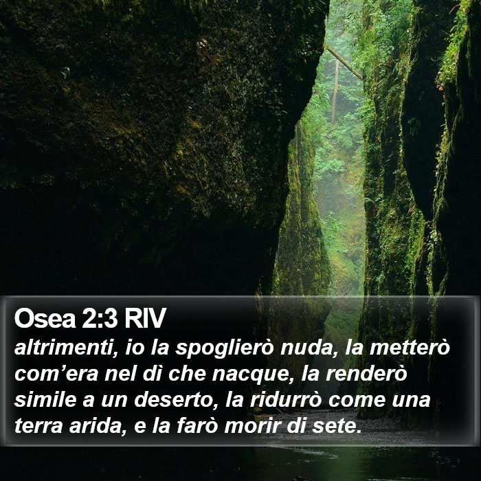 Osea 2:3 RIV Bible Study