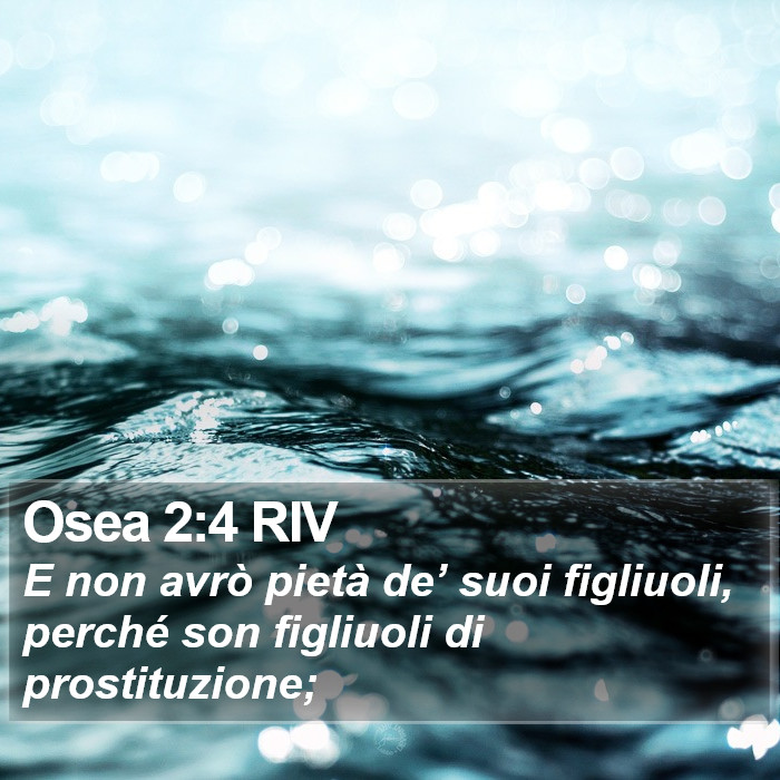 Osea 2:4 RIV Bible Study