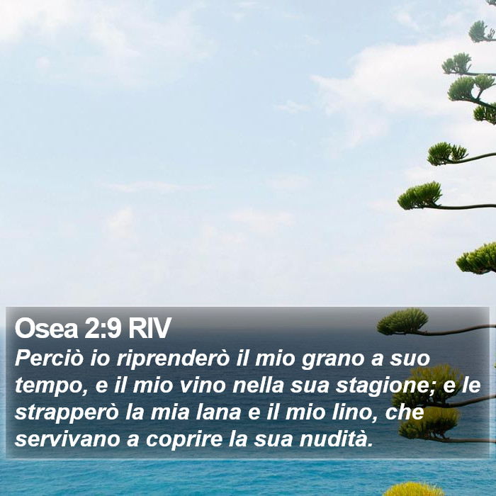 Osea 2:9 RIV Bible Study