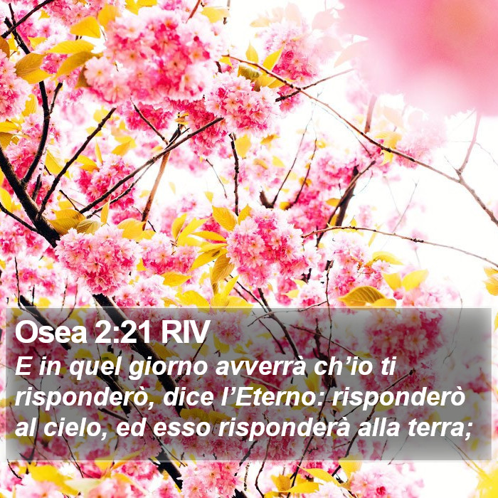 Osea 2:21 RIV Bible Study