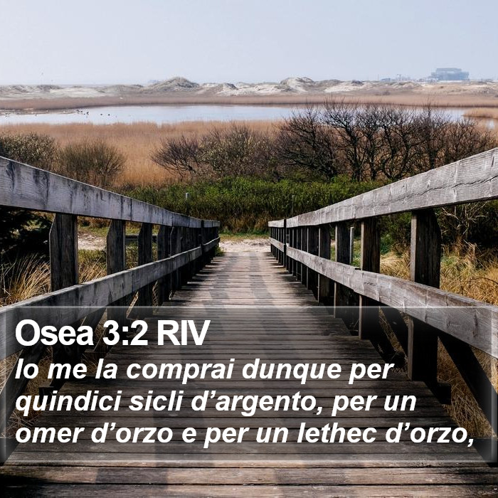 Osea 3:2 RIV Bible Study