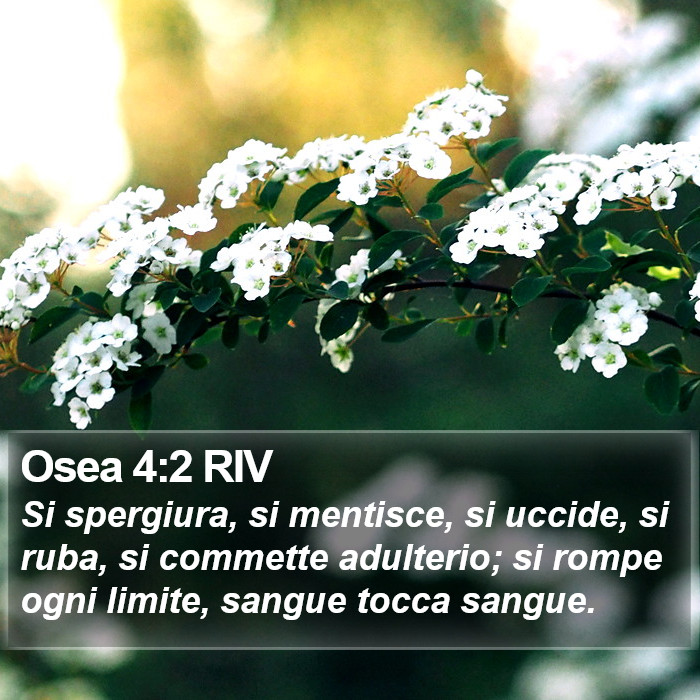 Osea 4:2 RIV Bible Study