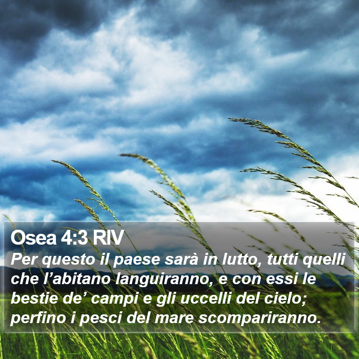 Osea 4:3 RIV Bible Study