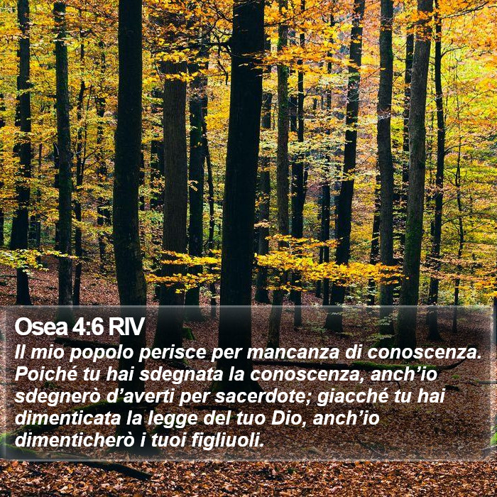 Osea 4:6 RIV Bible Study