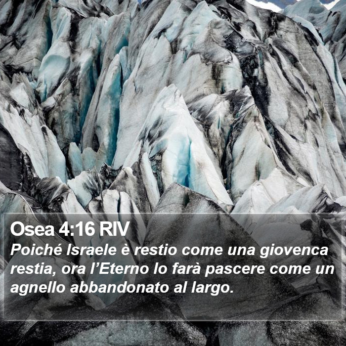 Osea 4:16 RIV Bible Study