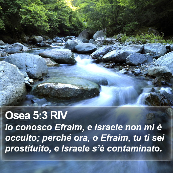 Osea 5:3 RIV Bible Study