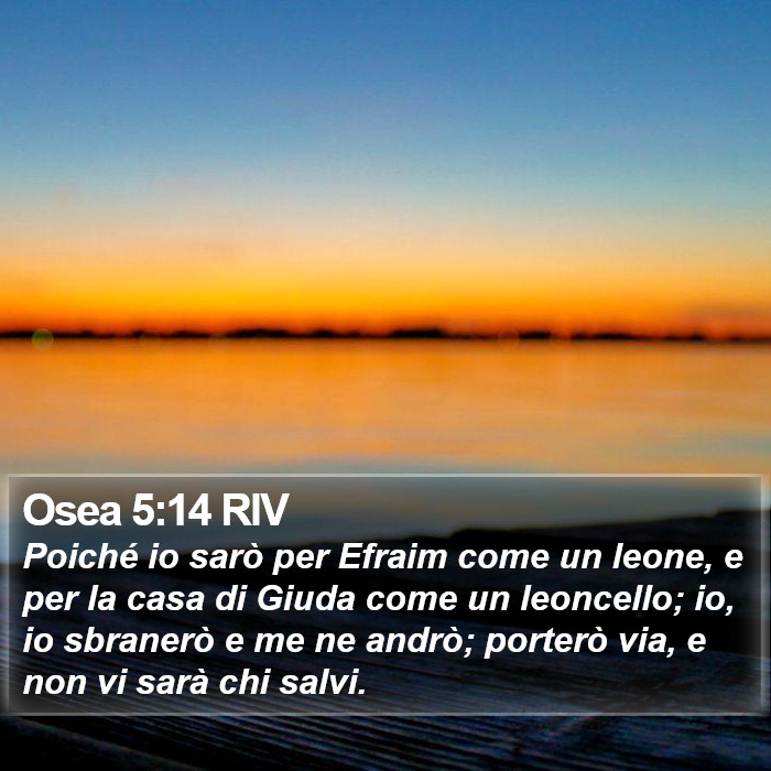 Osea 5:14 RIV Bible Study