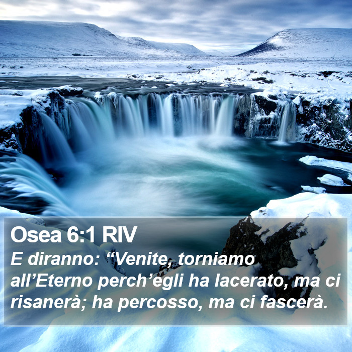 Osea 6:1 RIV Bible Study