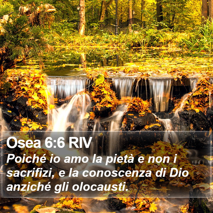 Osea 6:6 RIV Bible Study