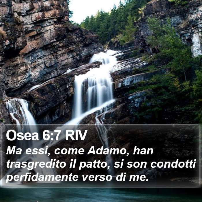 Osea 6:7 RIV Bible Study