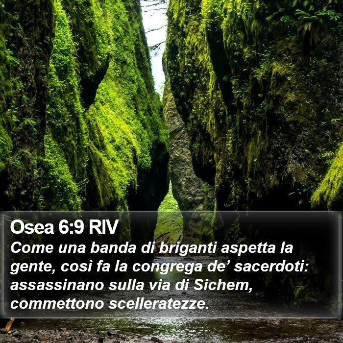 Osea 6:9 RIV Bible Study