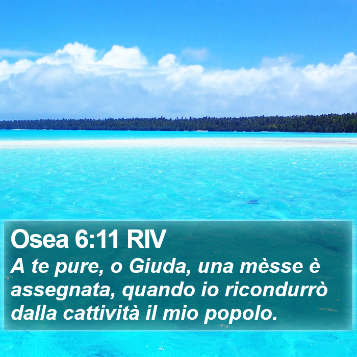 Osea 6:11 RIV Bible Study