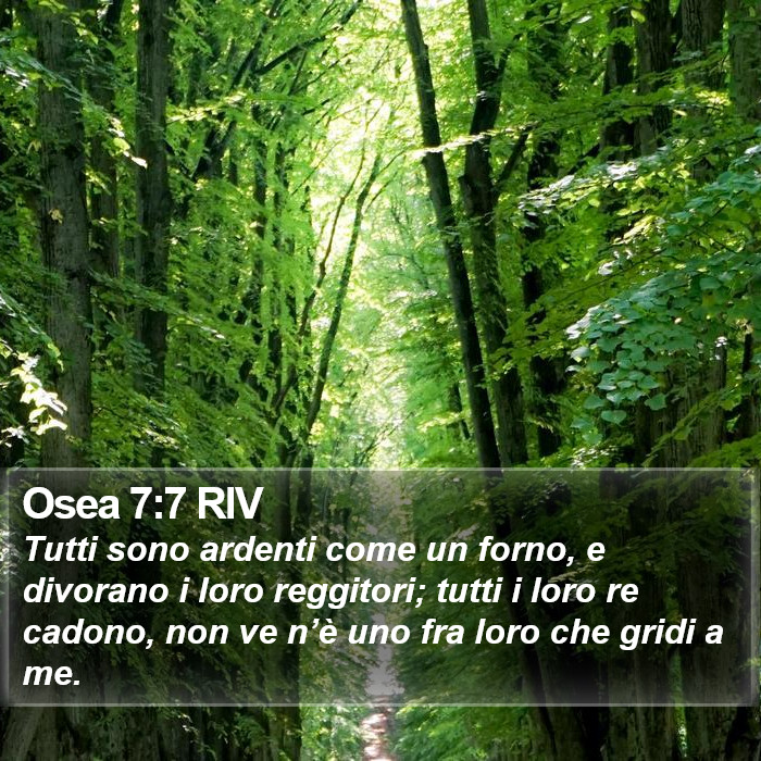 Osea 7:7 RIV Bible Study