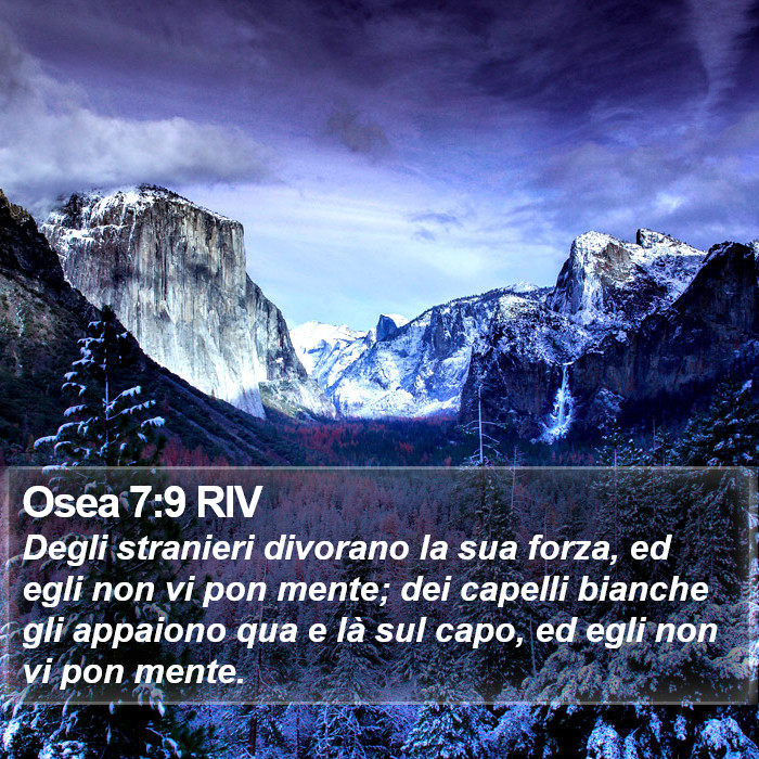 Osea 7:9 RIV Bible Study