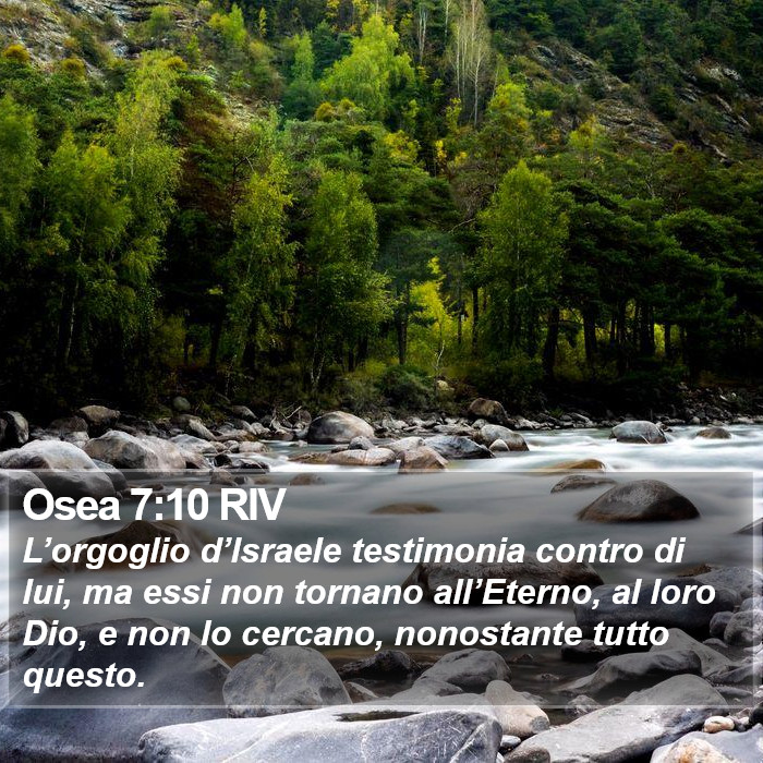 Osea 7:10 RIV Bible Study