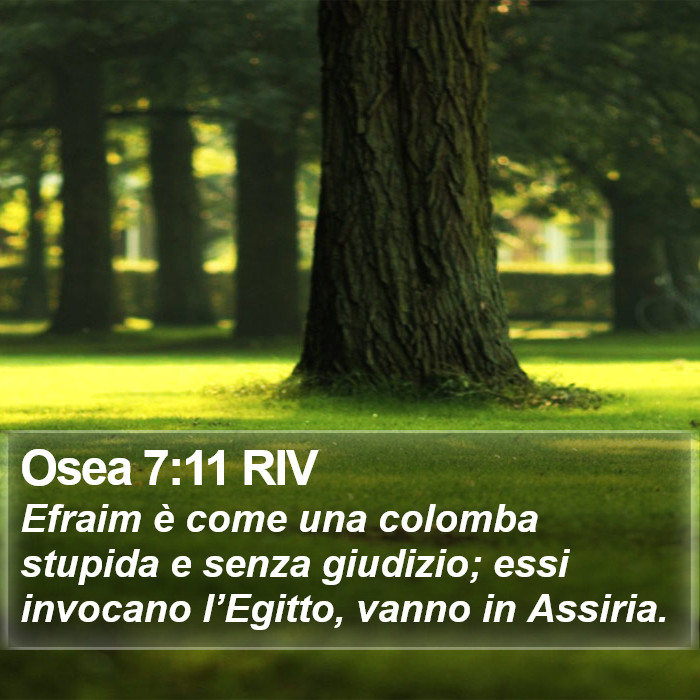 Osea 7:11 RIV Bible Study