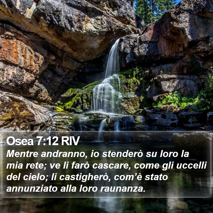 Osea 7:12 RIV Bible Study