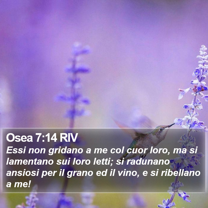 Osea 7:14 RIV Bible Study