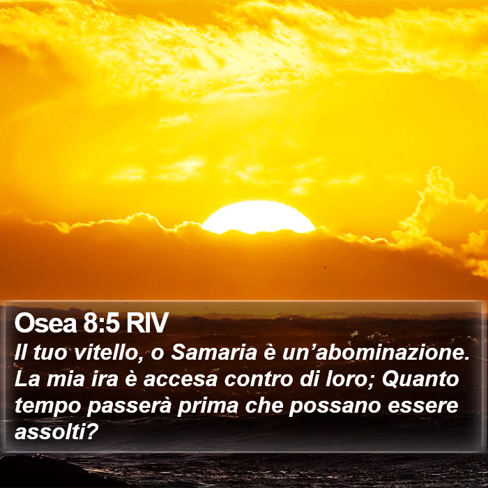 Osea 8:5 RIV Bible Study