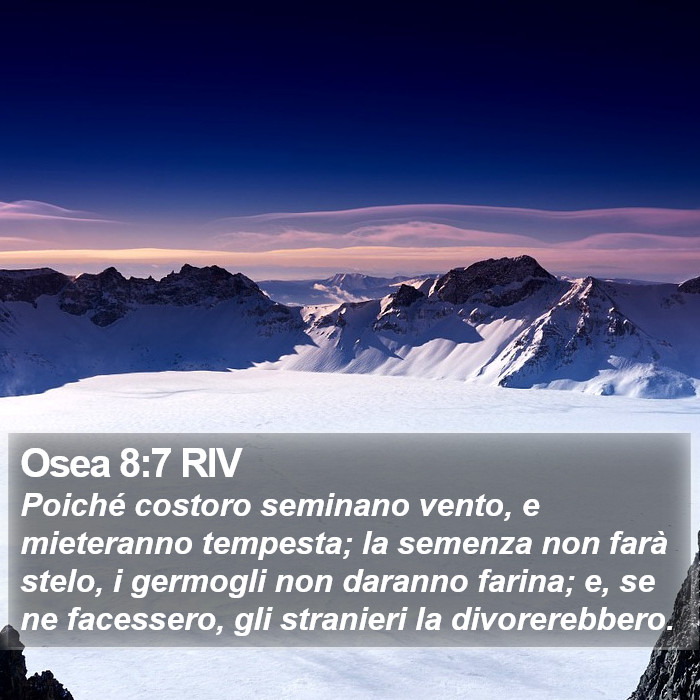 Osea 8:7 RIV Bible Study