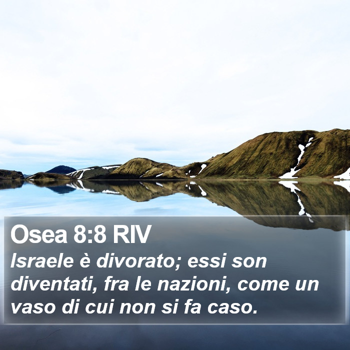 Osea 8:8 RIV Bible Study