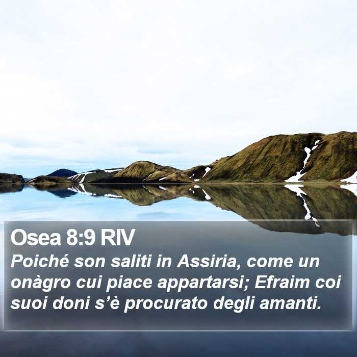 Osea 8:9 RIV Bible Study