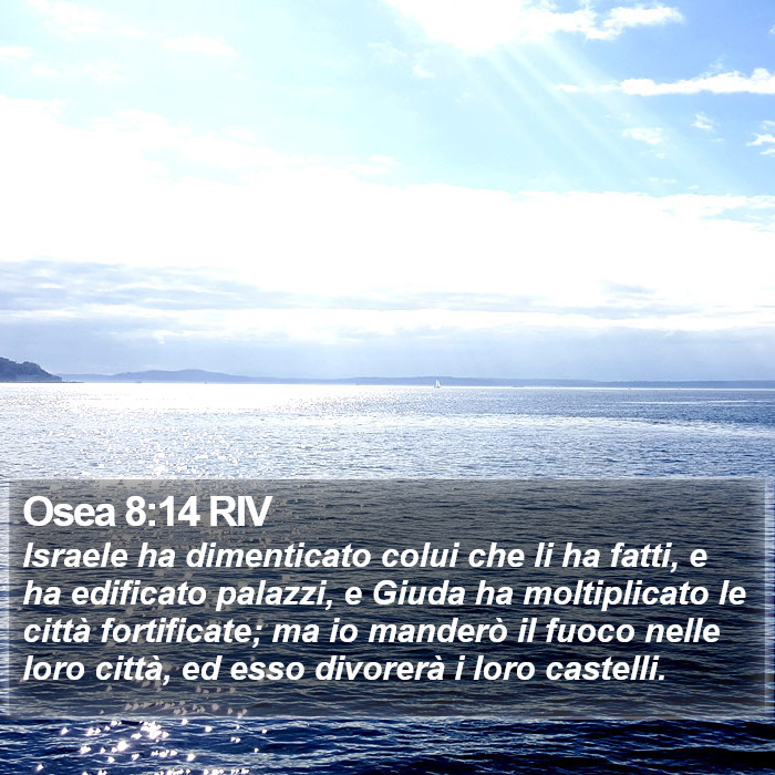 Osea 8:14 RIV Bible Study