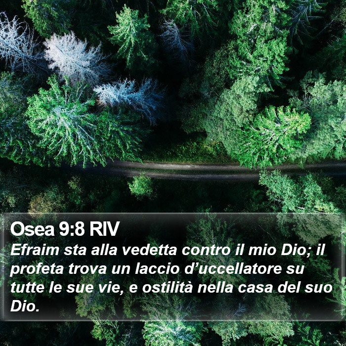 Osea 9:8 RIV Bible Study