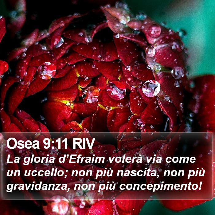 Osea 9:11 RIV Bible Study