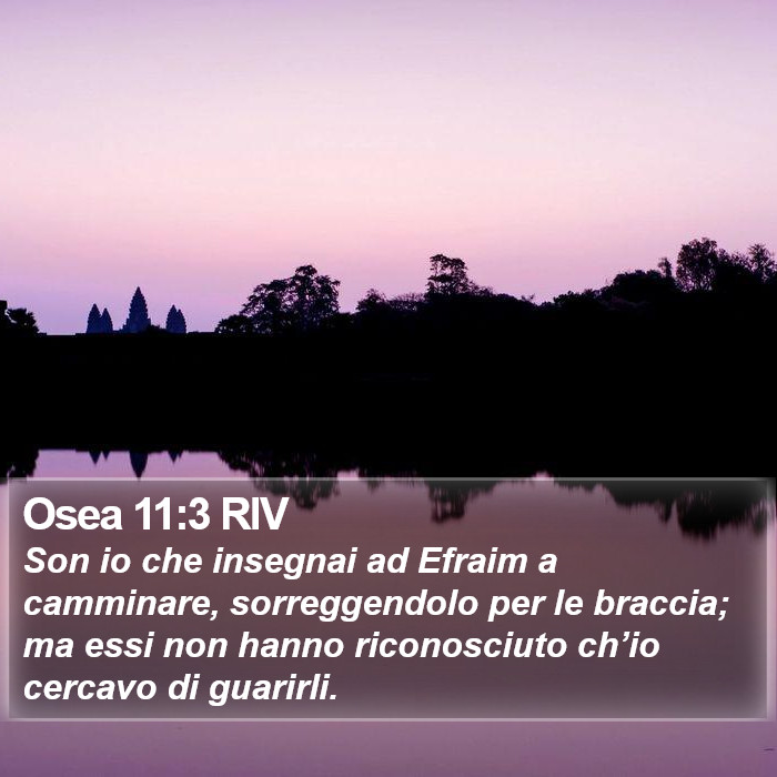 Osea 11:3 RIV Bible Study