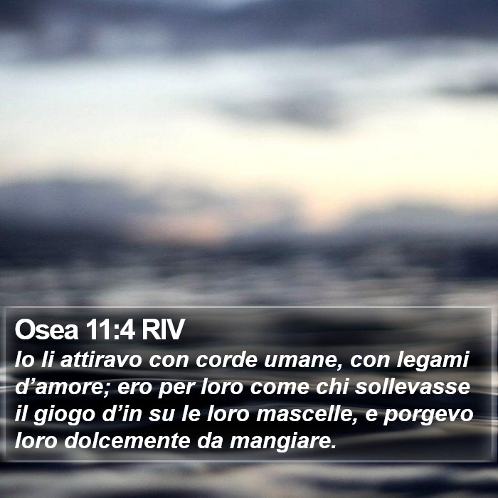Osea 11:4 RIV Bible Study