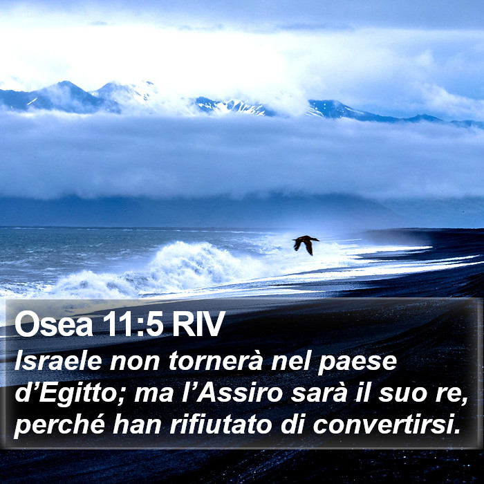 Osea 11:5 RIV Bible Study