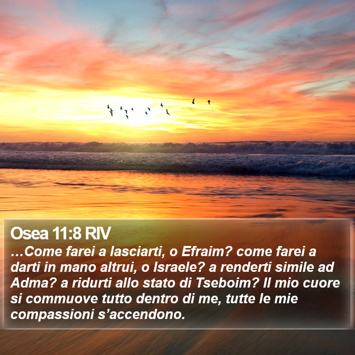Osea 11:8 RIV Bible Study