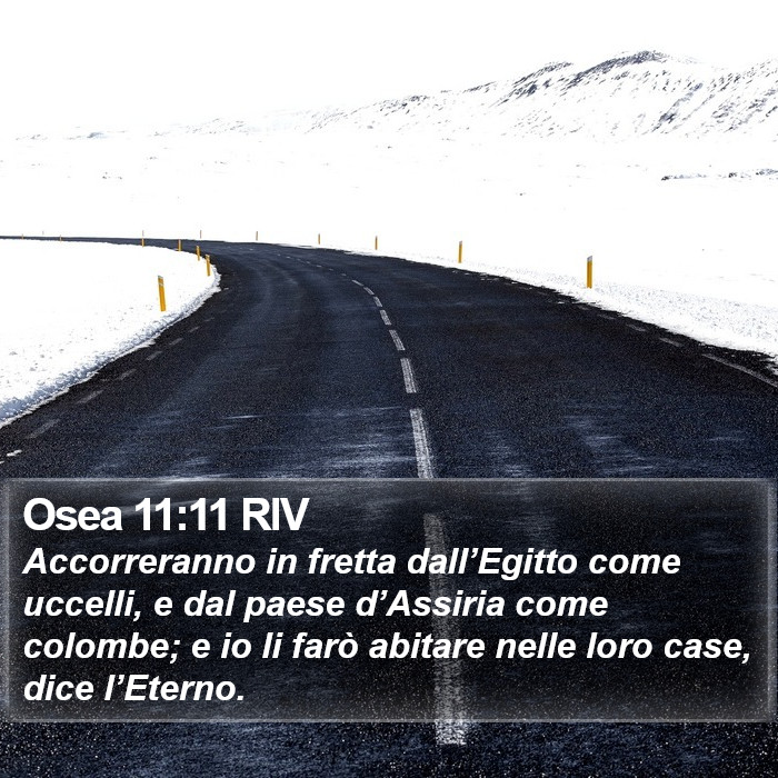 Osea 11:11 RIV Bible Study