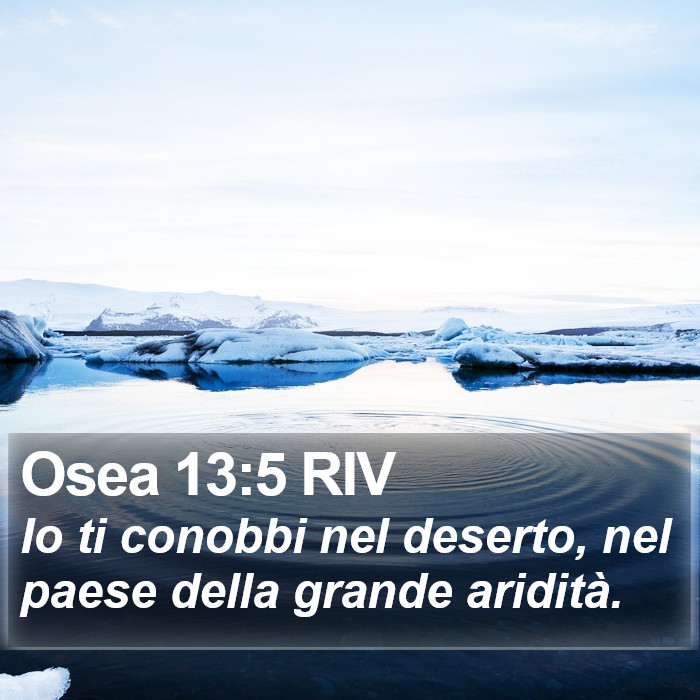 Osea 13:5 RIV Bible Study