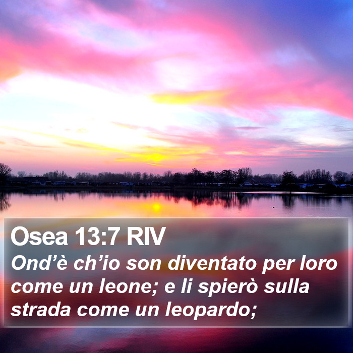 Osea 13:7 RIV Bible Study