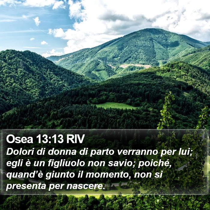 Osea 13:13 RIV Bible Study