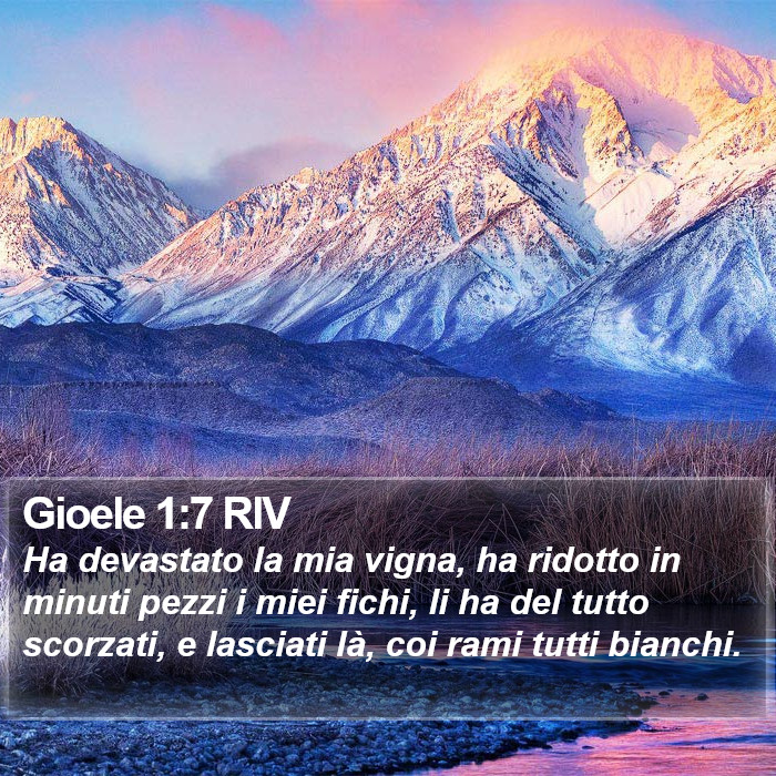 Gioele 1:7 RIV Bible Study