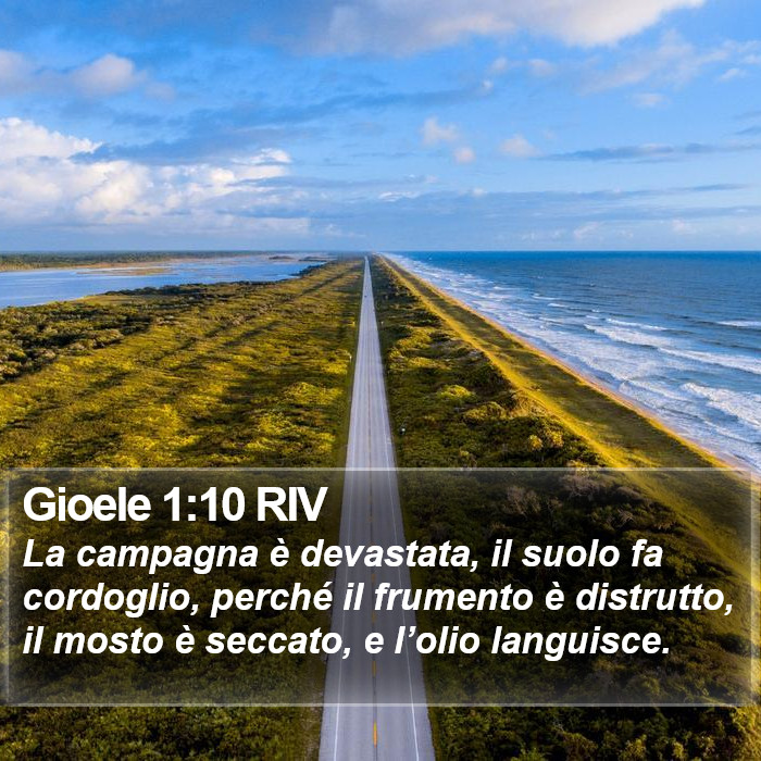 Gioele 1:10 RIV Bible Study