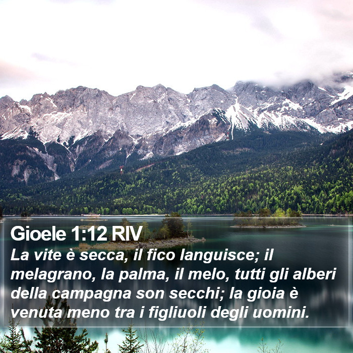 Gioele 1:12 RIV Bible Study