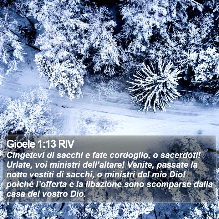 Gioele 1:13 RIV Bible Study